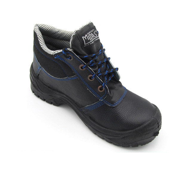 پوتین ایمنی مدل میداس