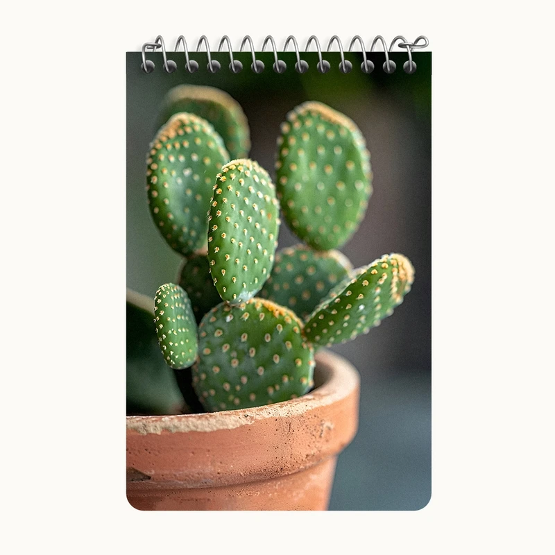 دفتر یادداشت 50 برگ خندالو طرح کاکتوس کد F8974