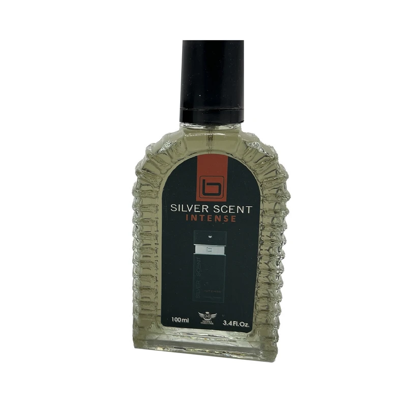 ادو پرفیوم مردانه گریت سان مدل سیلورسنت SILVER SCENT با رایحه خنک و تلخ حجم 100 میلی لیتر