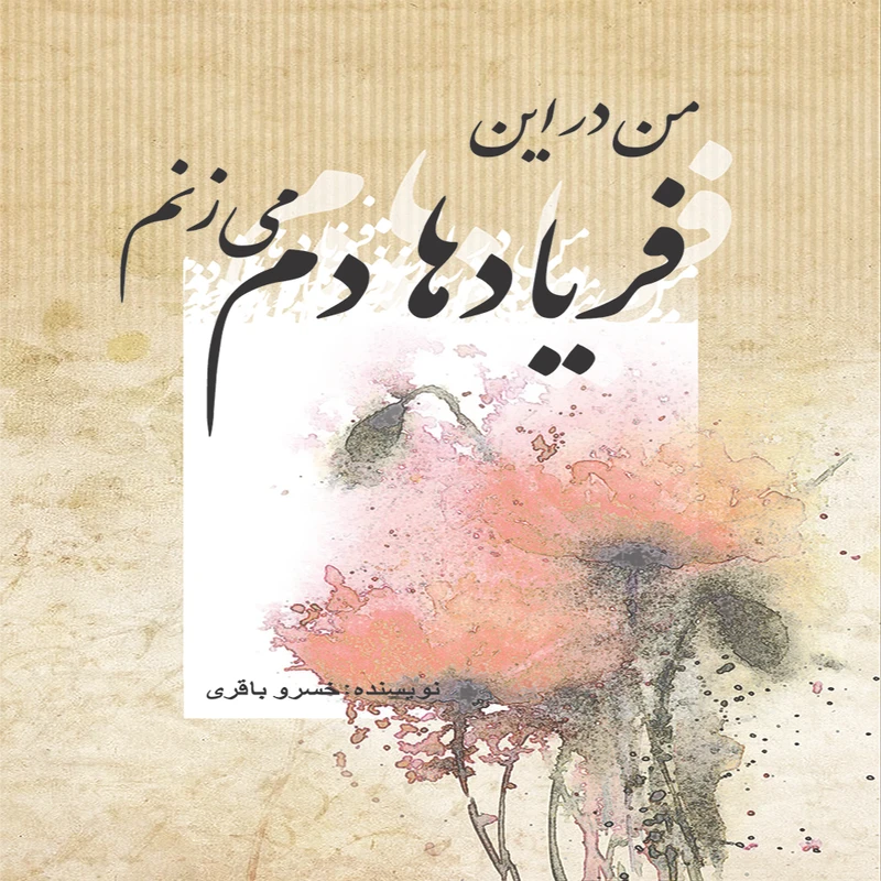 کتاب من در این فریادها دم می‌زنم اثر خسرو باقری انتشارات پژواک فرزان