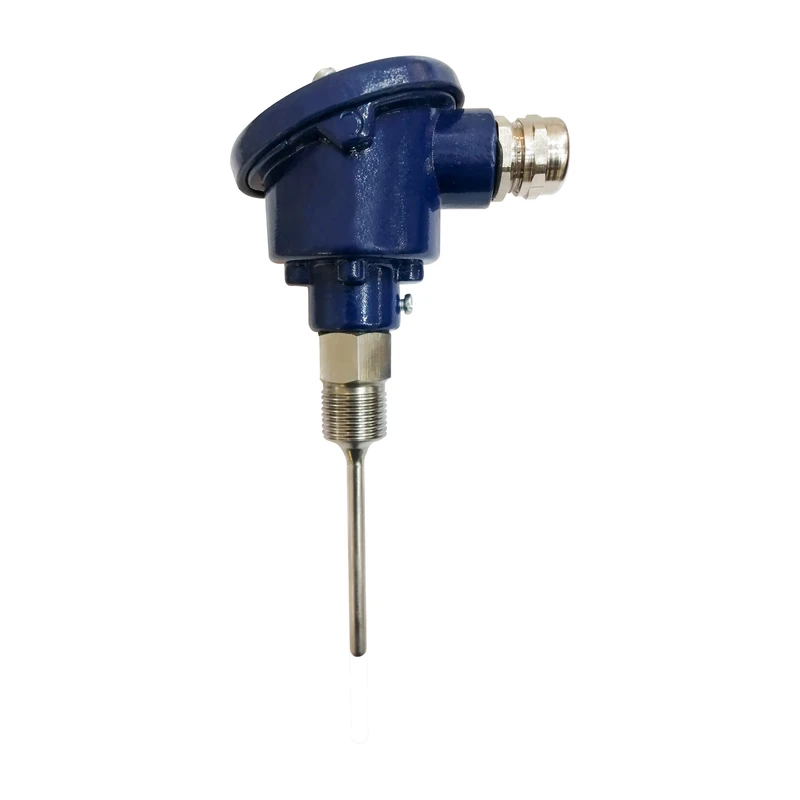 سنسور پی تی 100 کد RF1-1AB-6D5HS6-2F5-ZZZ