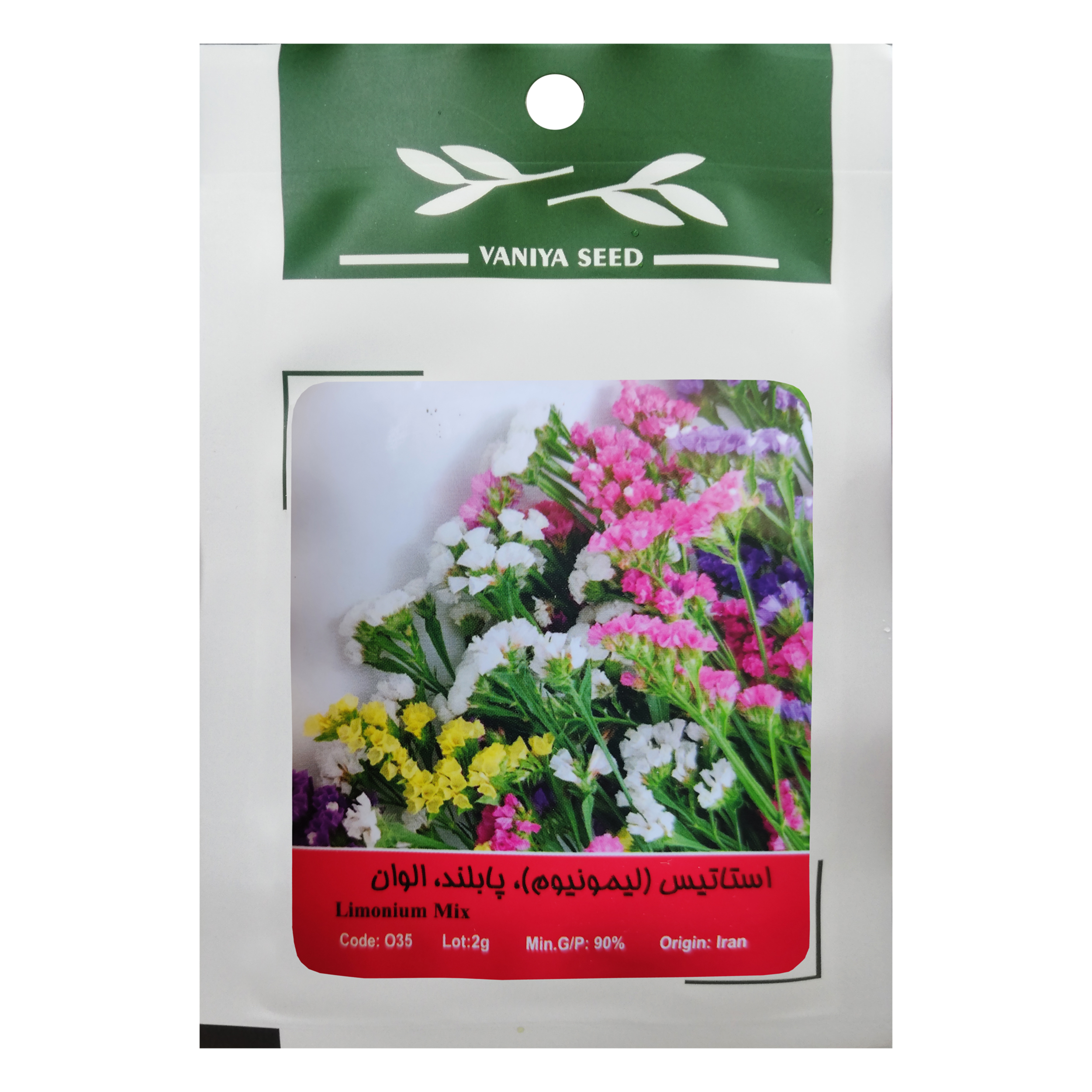 بذر گل استاتیس لیمونیوم پابلند الوان وانیا سید مدل O35
