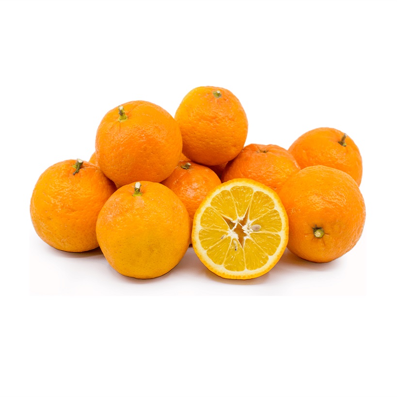پرتقال آبگیری - 5 کیلوگرم