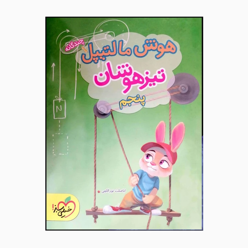 کتاب پنجم تیزهوشان هوش مالتیپل چندگانه اثر اباصلت نوراللهی انتشارات خیلی سبز