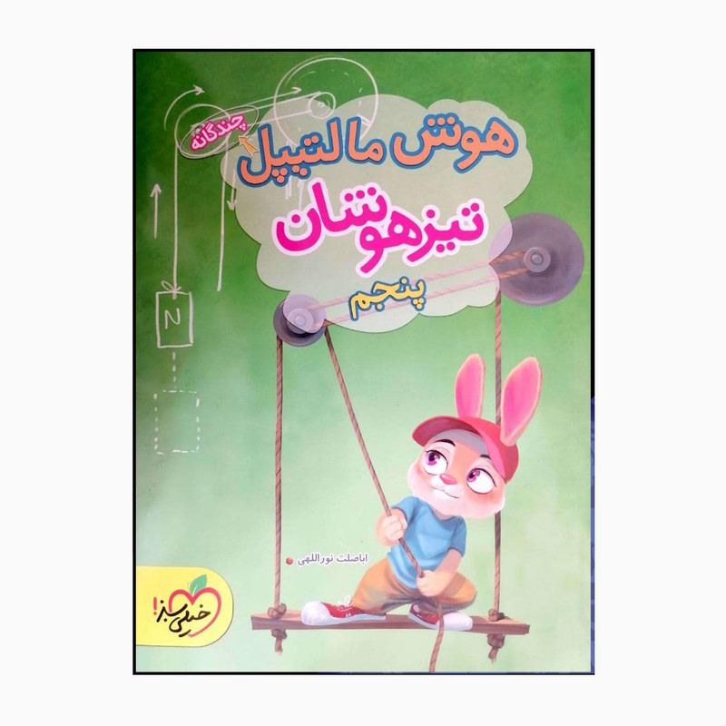 کتاب پنجم تیزهوشان هوش مالتیپل چندگانه اثر اباصلت نوراللهی انتشارات خیلی سبز
