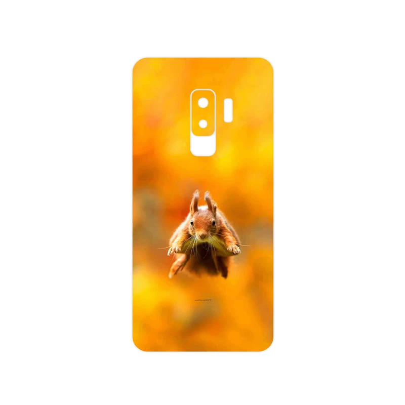 برچسب پوششی ماهوت مدل Squirrel مناسب برای گوشی موبایل سامسونگ Galaxy S9 Plus