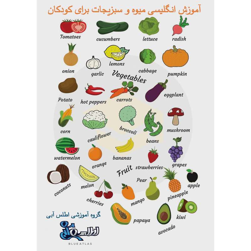 بازی آموزشی انگلیسی اطلس آبی طرح میوه ها و سبزیجات مدل TE1007