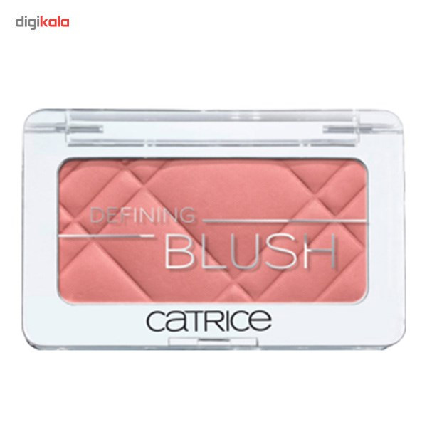 رژ گونه کاتریس مدل Defining 020 رژ گونه کاتریس مدل Defining 020
