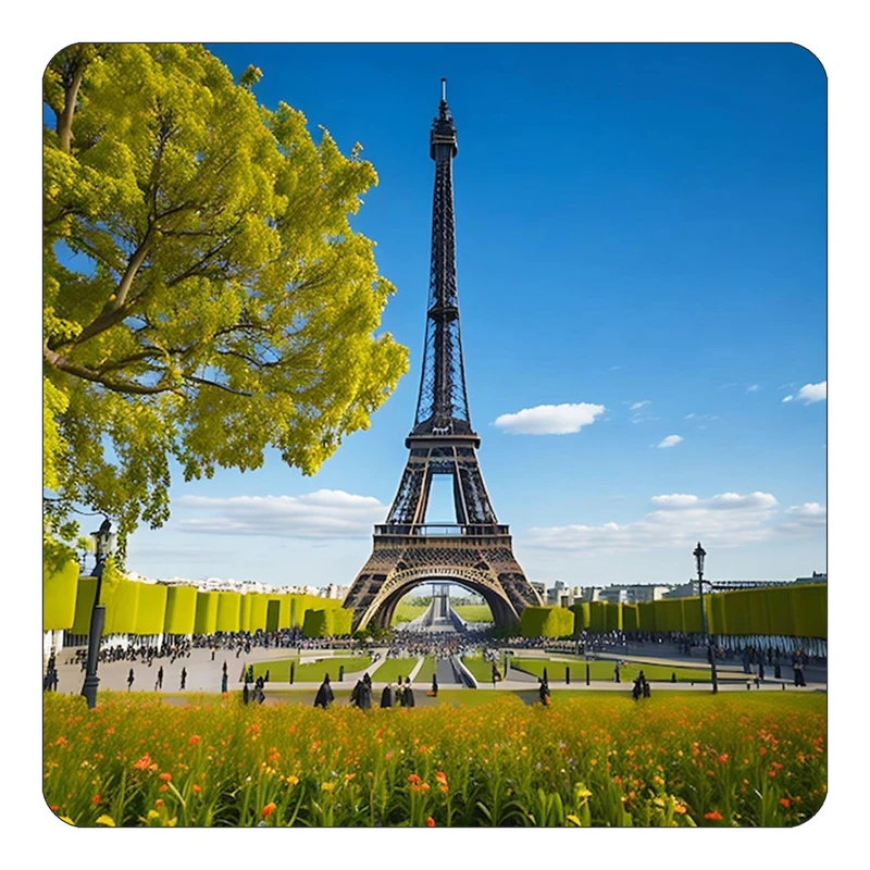 مگنت کاکتی طرح پاریس Paris مدل mp56859