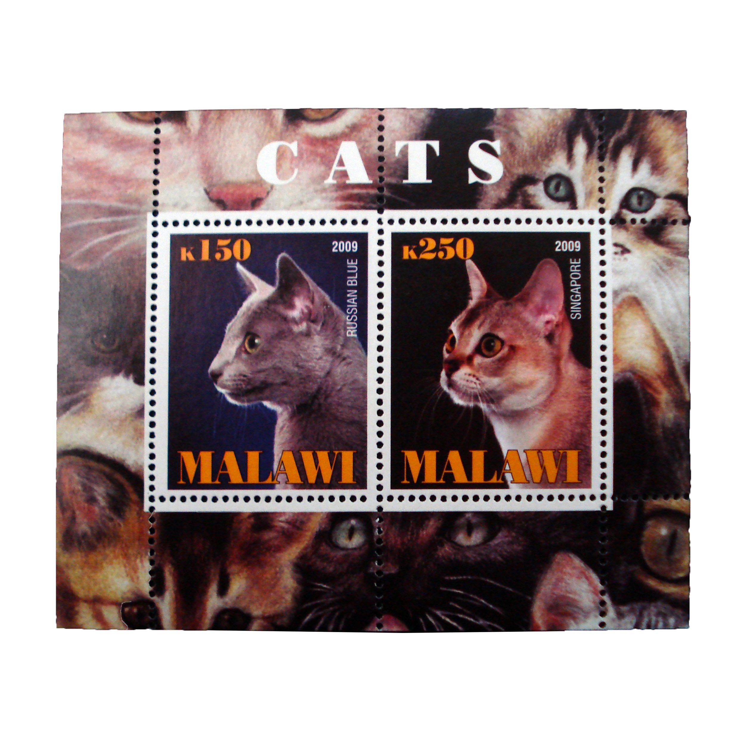 تمبر یادگاری مدل گربه کد aa-428 مجموعه 2 عددی