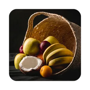 زیر لیوانی کاکتی طرح میوه مدل mp21619