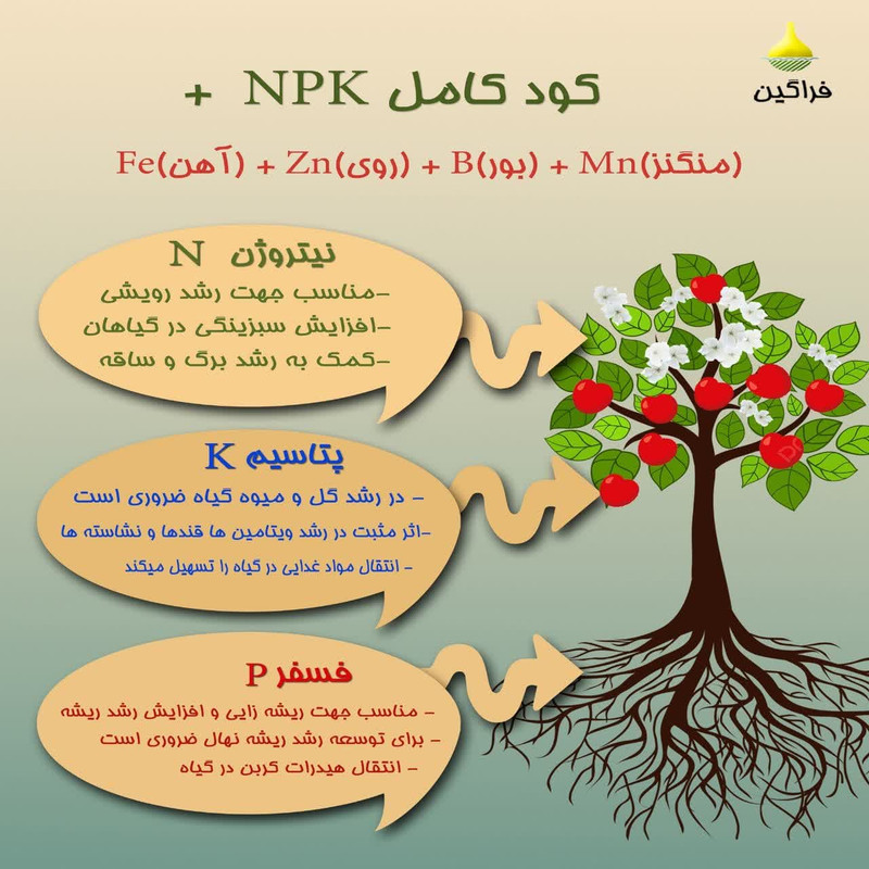 کود سه بیست برگدهی و گلدهی هوم تاک مدل NPK 20-20-20 وزن 50 گرم