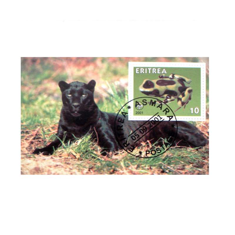 تمبر یادگاری مدل حیات وحش کد DS2359 