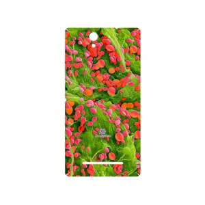 MAHOOT Atom Universe 3 Cover Sticker for Sony Xperia C3 Dual