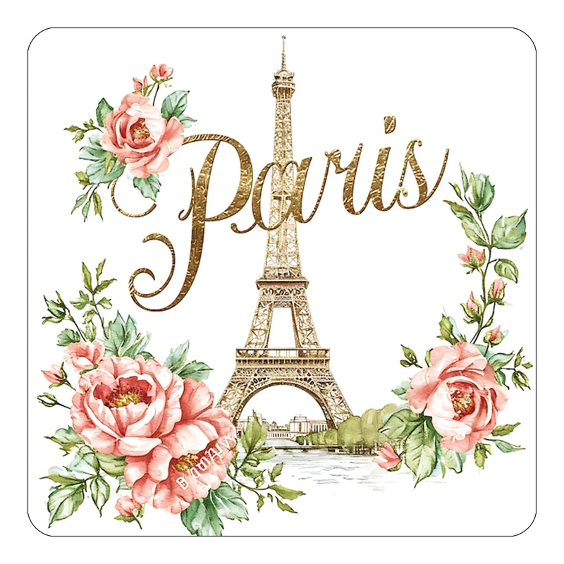 مگنت کاکتی طرح پاریس Paris مدل mp59868