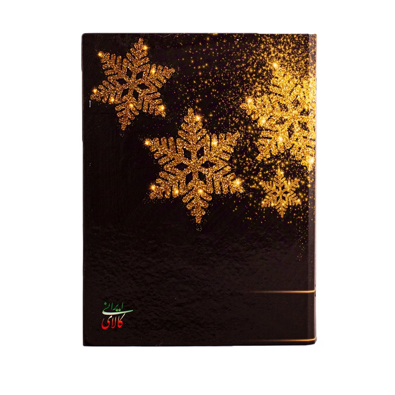 دفتر کلاسوری 80 برگ  مدل برف طلایی کد L3040