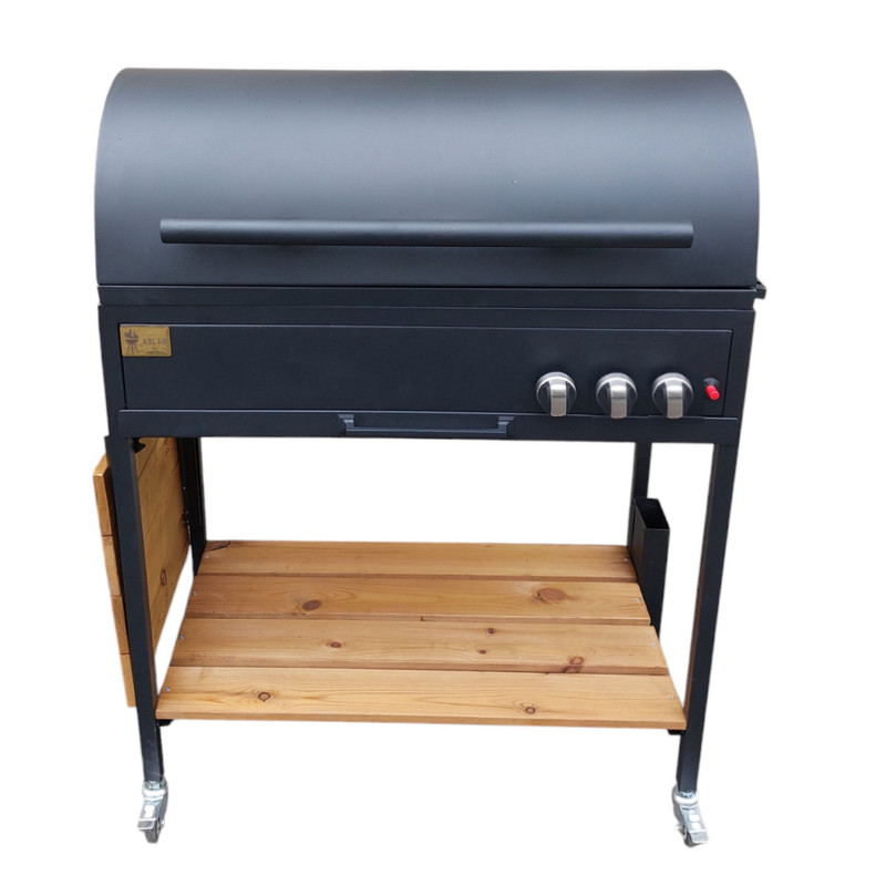 باربیکیو اصلان مدل M80T