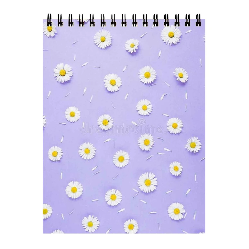 دفتر برنامه ریزی طرح بابونه کد 29