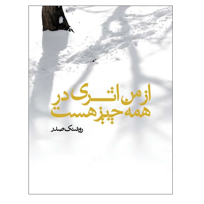 کتاب از من اثری در همه چیز هست اثر روشنک صدر انتشارات بدون