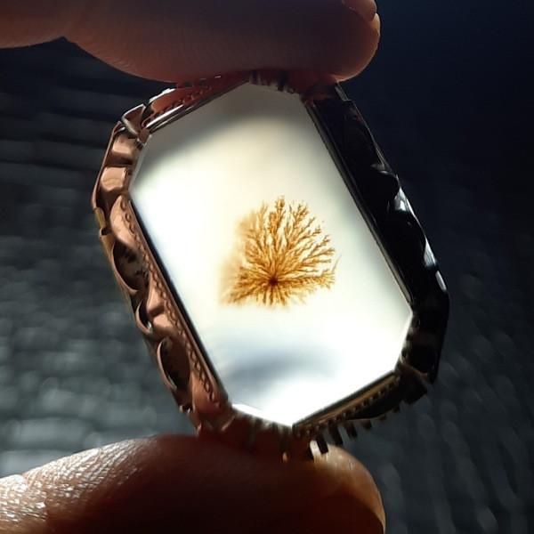 انگشتر نقره مردانه مدل شجر قاصدکی سمنان