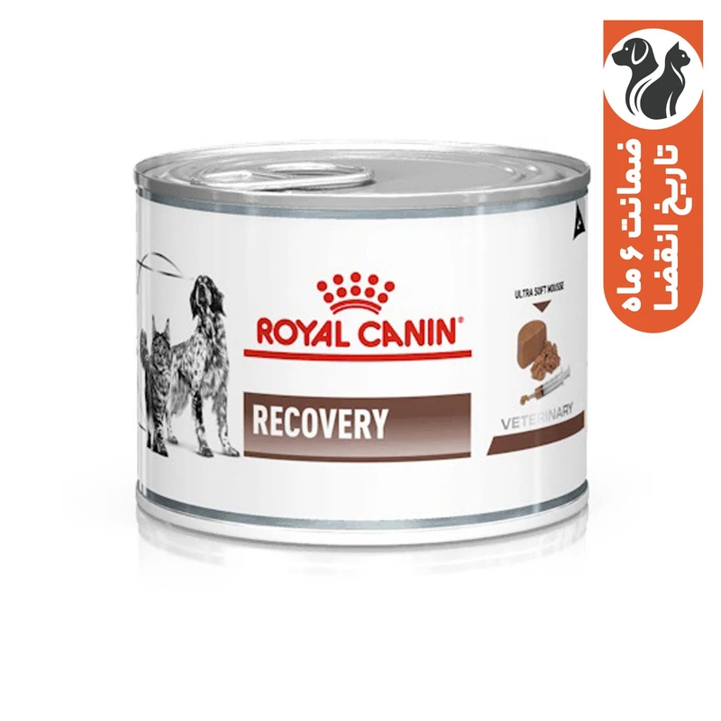 کنسرو گربه و سگ رویال کنین مدل ریکاوری وزن 2340 گرم بسته 12 عددی