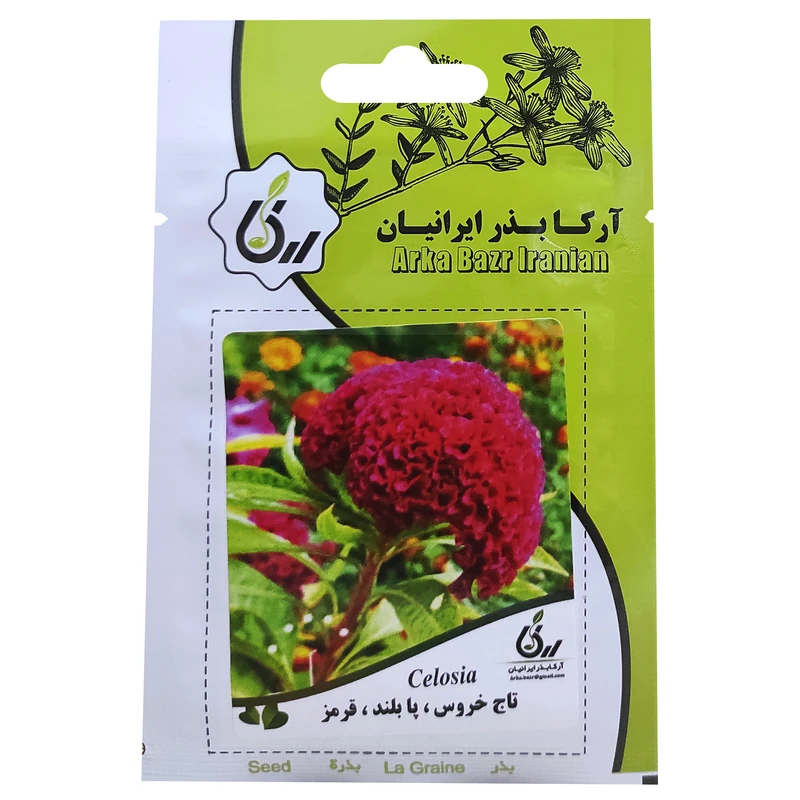 بذر گل تاج خروس پابلند قرمز آرکا بذر ایرانیان کد ARK-100
