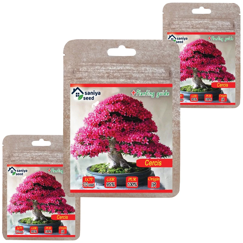 بذر بنسای ارغوان سانیا سید مدل B15 مجموعه 3 عددی