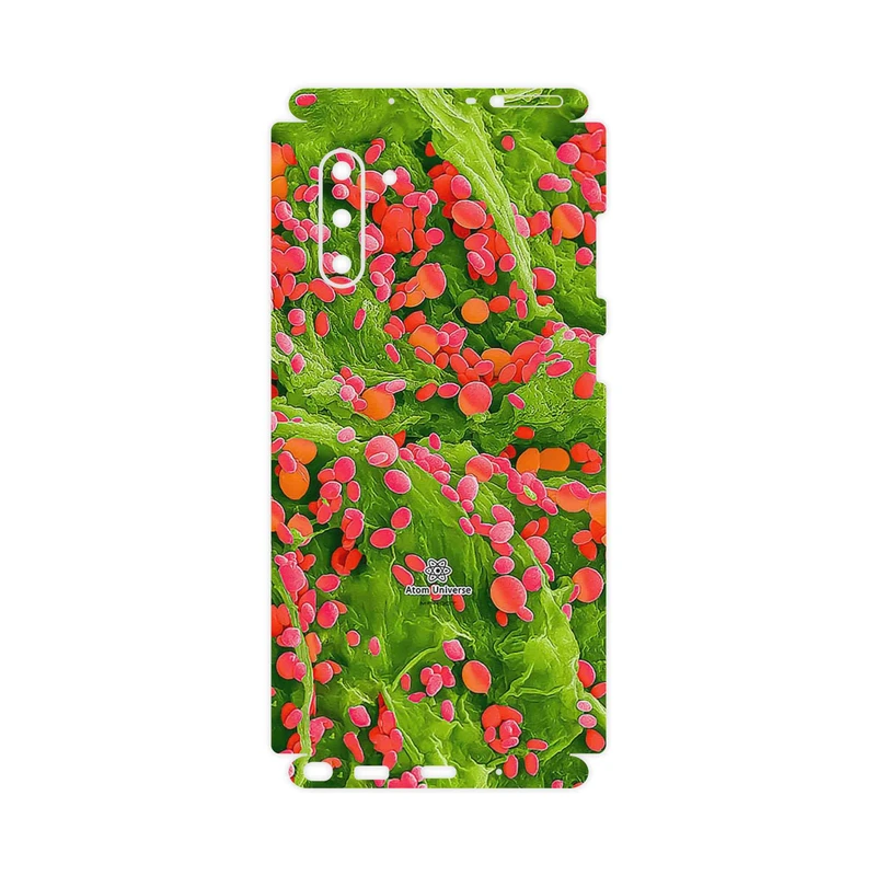 برچسب پوششی ماهوت مدل Atom Universe 3-FullSkin مناسب برای گوشی موبایل سامسونگ Galaxy Note 10