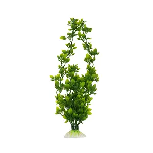 گیاه تزیینی آکواریوم مدل ریسه کد M_600