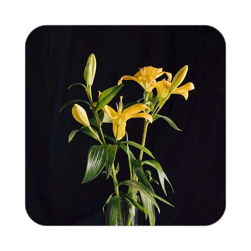 زیر لیوانی کاکتی طرح گل مدل mp16579