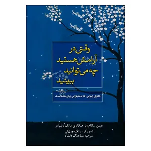 کتاب وقتی در آرامش هستید چه می توانید ببینید اثر هیمت سانام و مارک ویلیامز انتشارات آسمان نیلگون