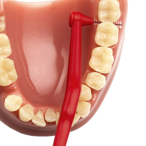مسواک بین دندانی ته‌په مدل Angle سایز 2 بسته 6 عددی