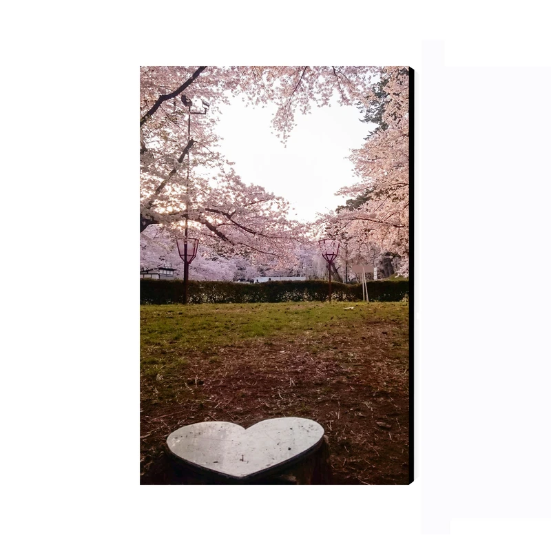 تابلو شاسی عرش طرح گردشگری ژاپن مدل جشنواره شکوفه‌های گیلاس پارک هیروساکی کد As6170