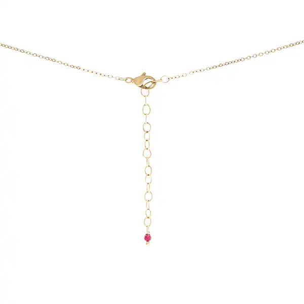 گردنبند زنانه زرسام مدل روژان دینا کد 10016241