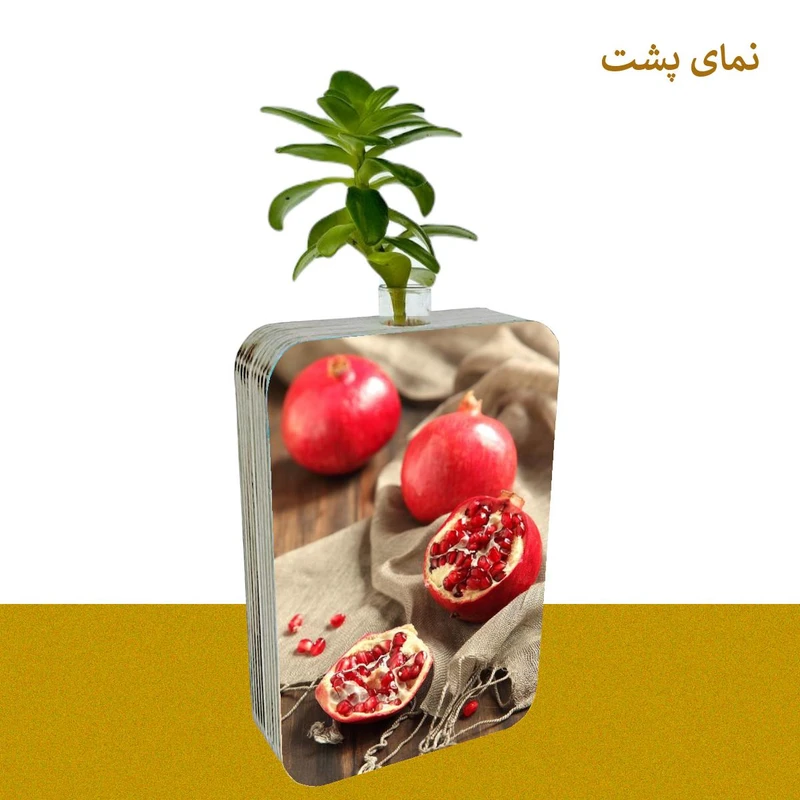 عکس شماره 5