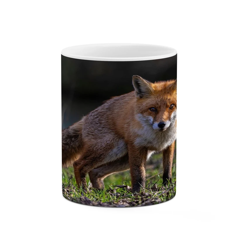 ماگ کاکتی مدل روباه کد mgh17396