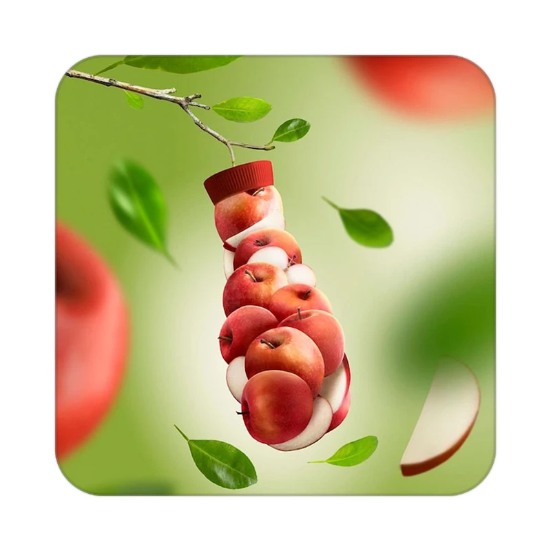 زیر لیوانی کاکتی طرح میوه مدل mp22113