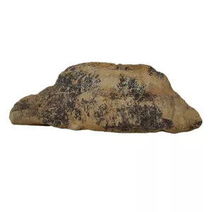 سنگ راف شجر مدل فسیلی کد 186