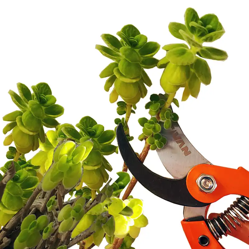 قیچی باغبانی تیوان کد HT - 3330 مدل 330