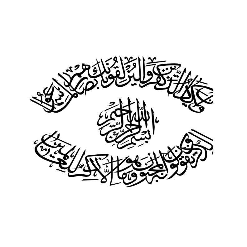 برچسب بدنه خودرو طرح نوین گراف مدل وان یکاد کد vn11
