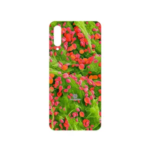 MAHOOT Atom Universe 3 Cover Sticker for Samsung Galaxy A50s