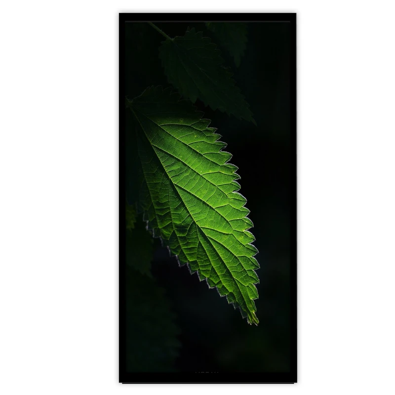 تابلو بکلیت طرح عکاسی هنری طبیعت مدل B-S3376