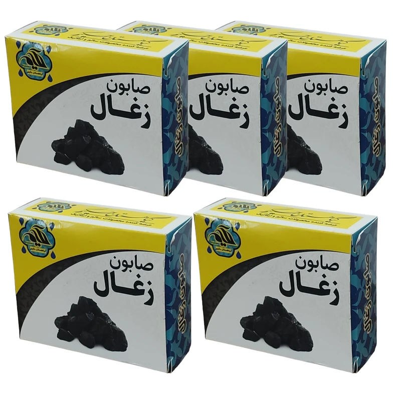 صابون شستشو گیاهستان حکیم مدل زغال وزن 70 گرم بسته 5 عددی