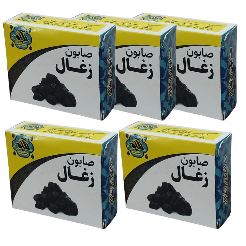 صابون شستشو گیاهستان حکیم مدل زغال وزن 70 گرم بسته 5 عددی