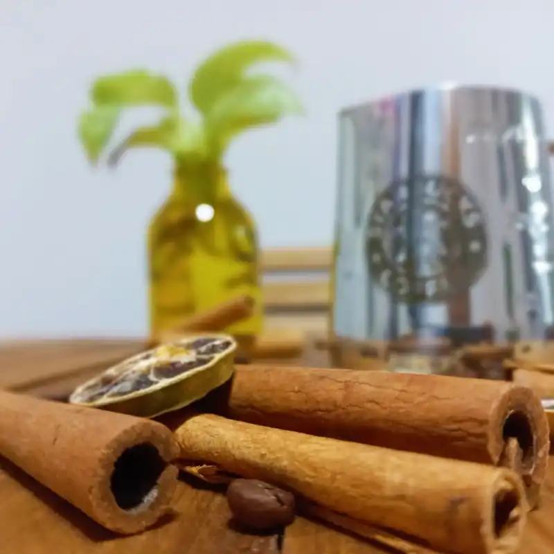 شیرجوش مدل پیچر 350ml کد 5522