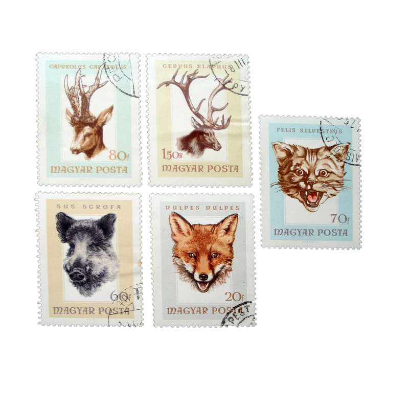 تمبر یادگاری مدل حیوانات کد DS2264 مجموعه 5 عددی