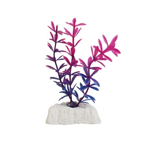 گیاه تزیینی آکواریوم کد 0033