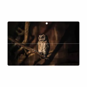 MAHOOT Owl Cover Sticker for Microsoft Surface Pro 2 2013