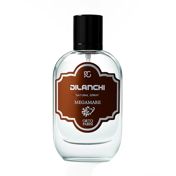 ادوپرفیوم دیلانچی مدل Megamare با رایحه معتدل حجم 50 میلی‌لیتر