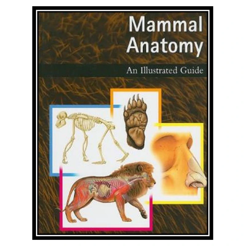 کتاب Mammal Anatomy اثر جمعی از نویسندگان انتشارات مؤلفین طلایی